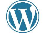 posicionamiento-web-alcorcon-wordpress